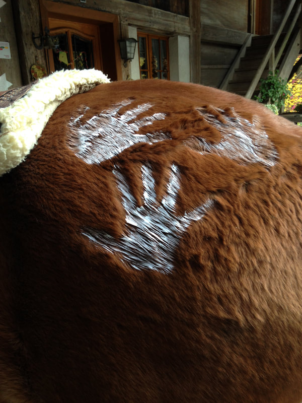 Handabdrücke auf dem Winterfell des Pferdes.