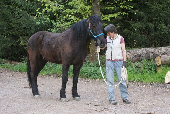 Franziska führt Mäni an eine Aufgabe heran